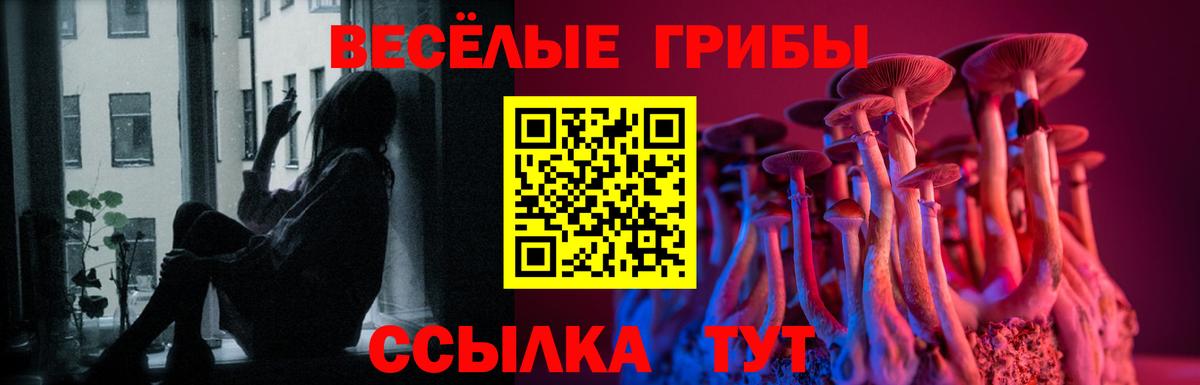 Псилоцибиновые грибы Magic Shrooms Сергиев Посад
